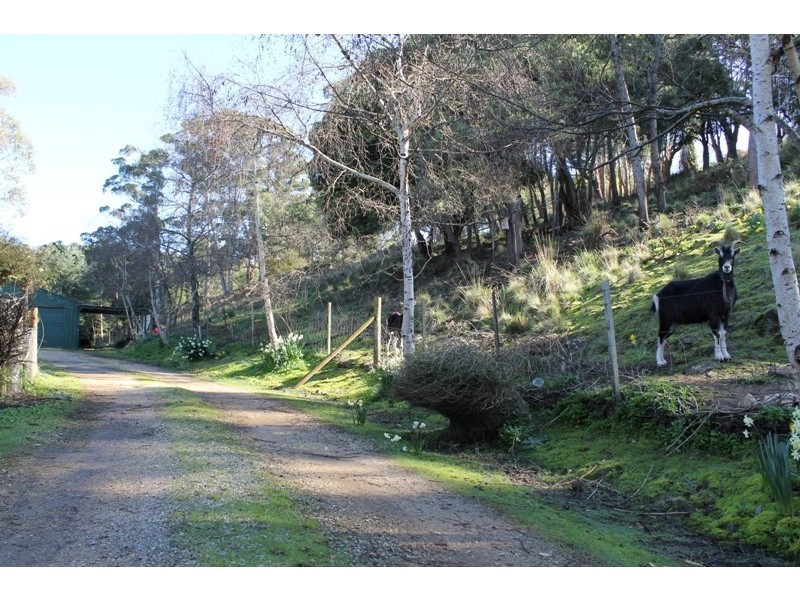 27 Atkinsons Road, Grindelwald TAS 7277