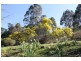 27 Atkinsons Road, Grindelwald TAS 7277