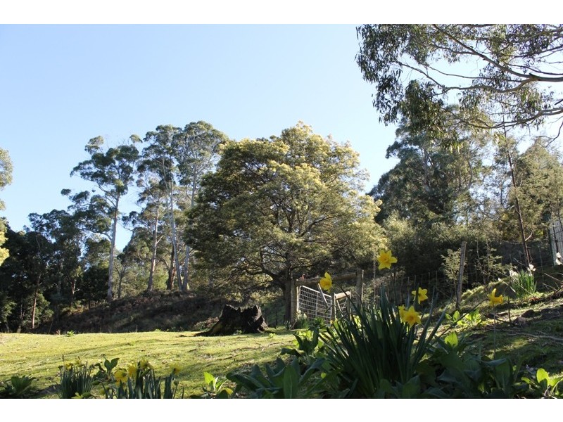 27 Atkinsons Road, Grindelwald TAS 7277