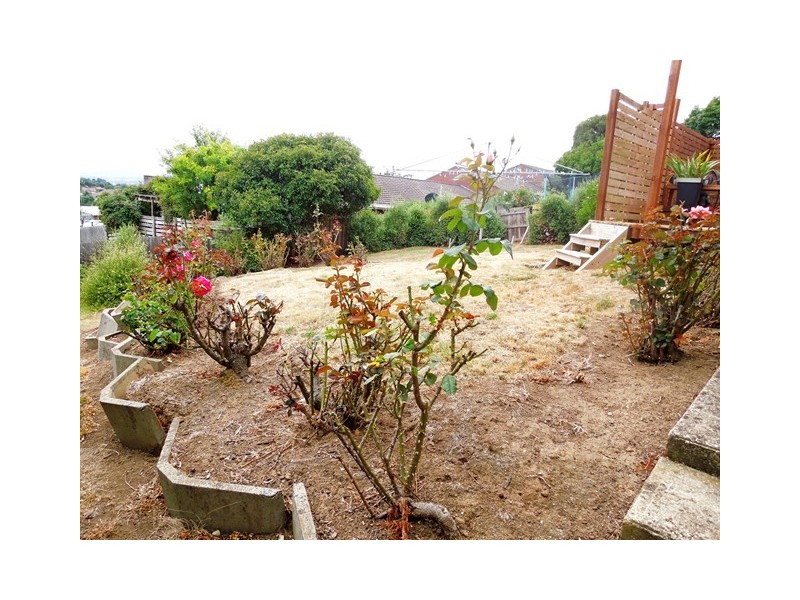 12 Ellison Street, Newstead TAS 7250