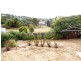 12 Ellison Street, Newstead TAS 7250