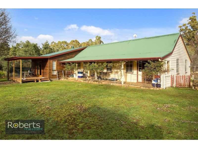 290 Wadleys Road, Reedy Marsh TAS 7304