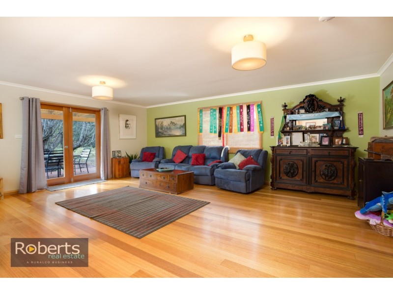 290 Wadleys Road, Reedy Marsh TAS 7304