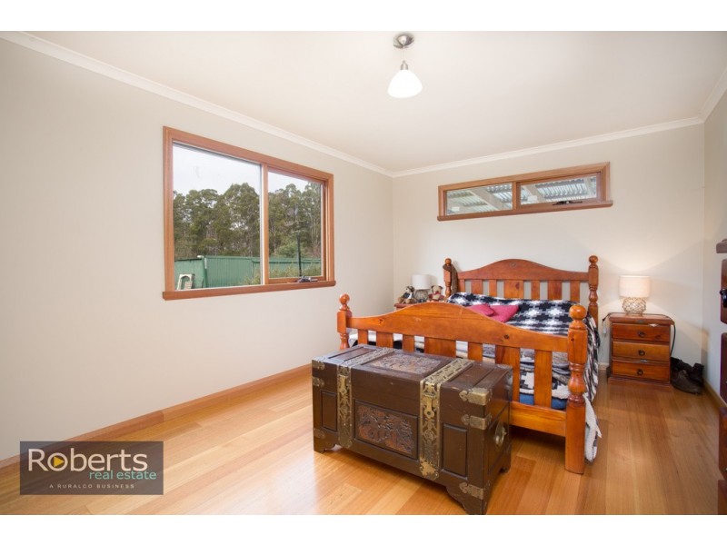 290 Wadleys Road, Reedy Marsh TAS 7304