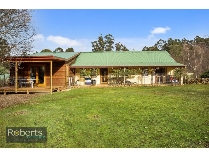 290 Wadleys Road, Reedy Marsh TAS 7304