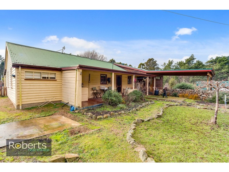 290 Wadleys Road, Reedy Marsh TAS 7304