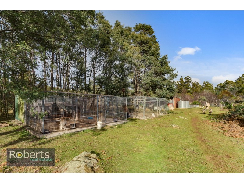 290 Wadleys Road, Reedy Marsh TAS 7304