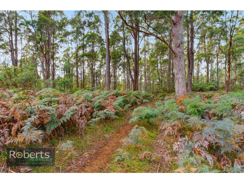 290 Wadleys Road, Reedy Marsh TAS 7304