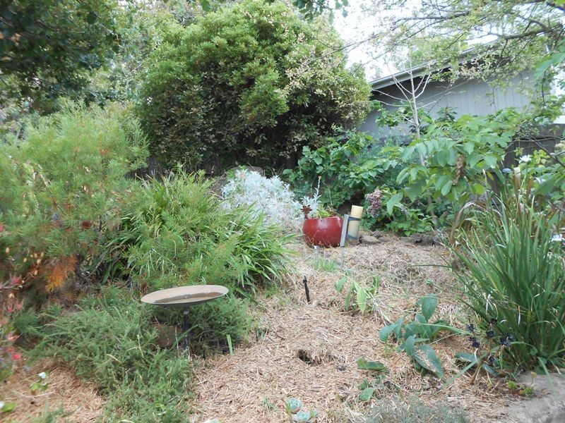 13 Denison Road, West Launceston TAS 7250