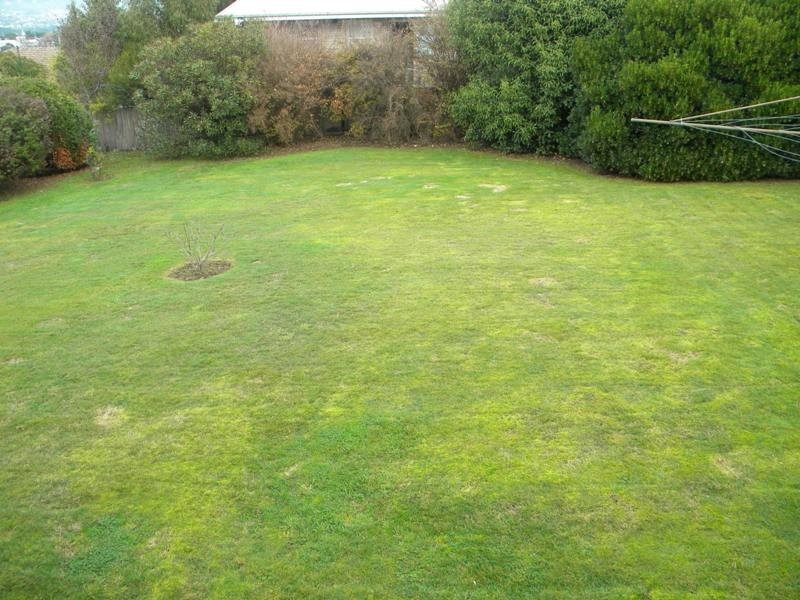 7 Laver Grove, Newnham TAS 7248