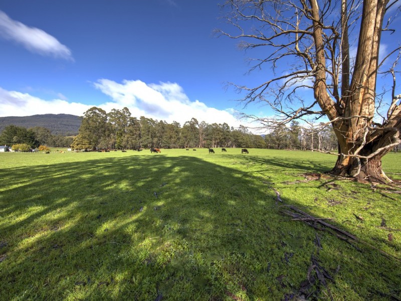 331 Western Creek Road, Caveside TAS 7304