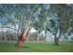331 Western Creek Road, Caveside TAS 7304