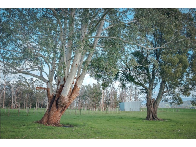 331 Western Creek Road, Caveside TAS 7304