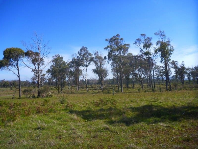 1078 Greens Beach Road, Clarence Point TAS 7270