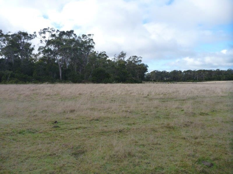 Lot 48/1078 Greens Beach Road, Clarence Point TAS 7270