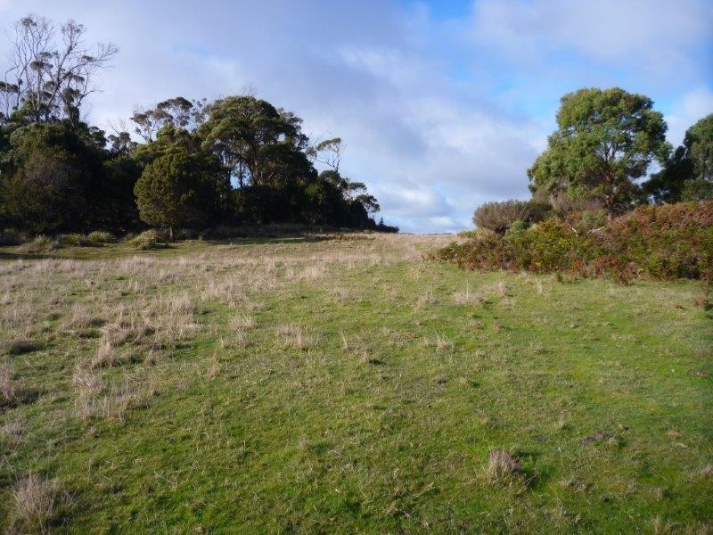 Lot 48/1078 Greens Beach Road, Clarence Point TAS 7270