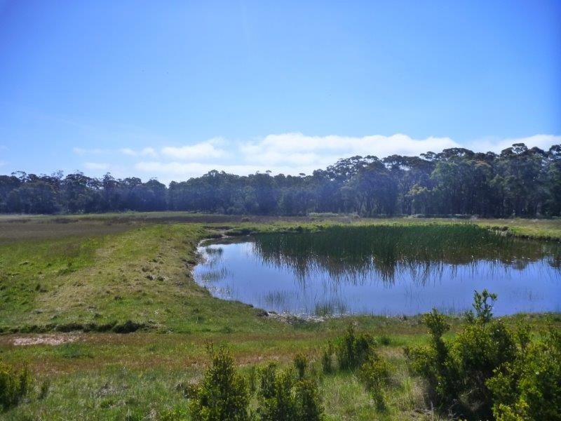 Lot 49/1078 Greens Beach Road, Clarence Point TAS 7270