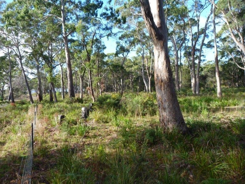 Lot 49/1078 Greens Beach Road, Clarence Point TAS 7270