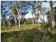 Lot 49/1078 Greens Beach Road, Clarence Point TAS 7270