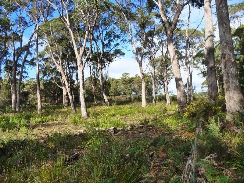 Lot 49/1078 Greens Beach Road, Clarence Point TAS 7270