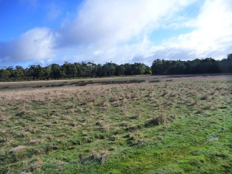 Lot 49/1078 Greens Beach Road, Clarence Point TAS 7270