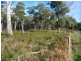 Lot 49/1078 Greens Beach Road, Clarence Point TAS 7270