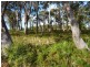 Lot 49/1078 Greens Beach Road, Clarence Point TAS 7270