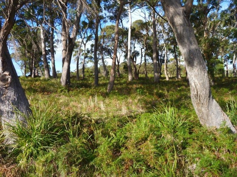 Lot 49/1078 Greens Beach Road, Clarence Point TAS 7270