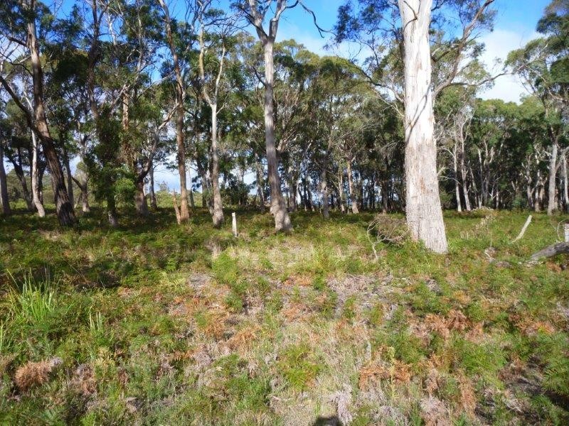 Lot 49/1078 Greens Beach Road, Clarence Point TAS 7270