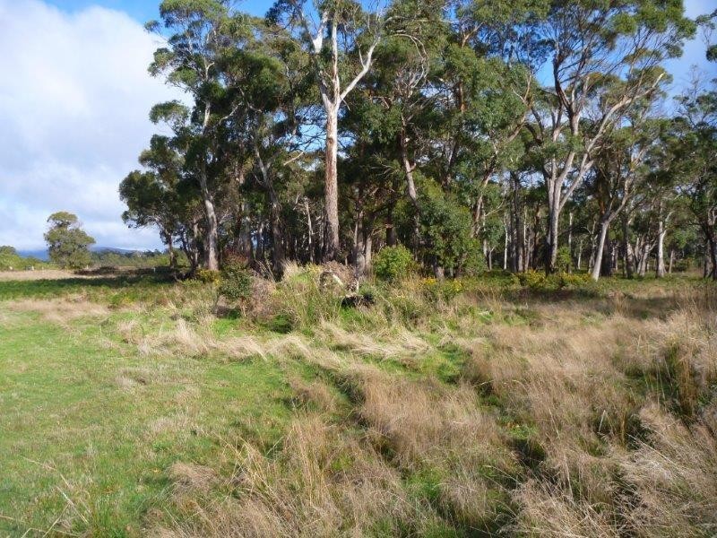 Lot 49/1078 Greens Beach Road, Clarence Point TAS 7270