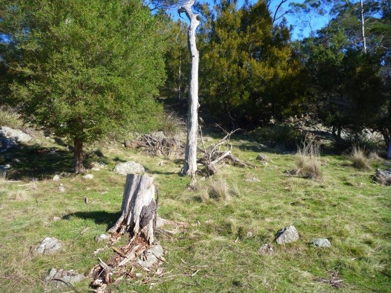 23 Muddy Creek Road, Legana TAS 7277