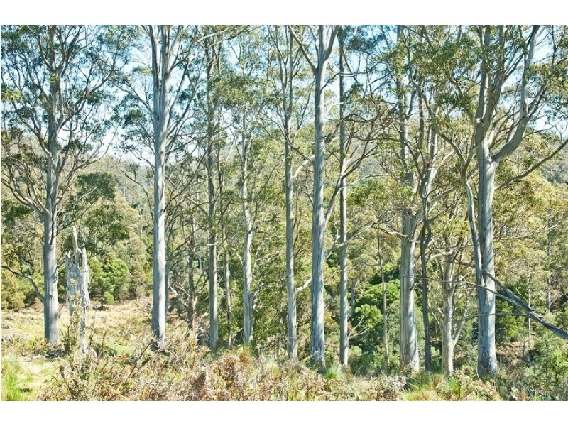 164 Mayberry Road, Mayberry TAS 7304