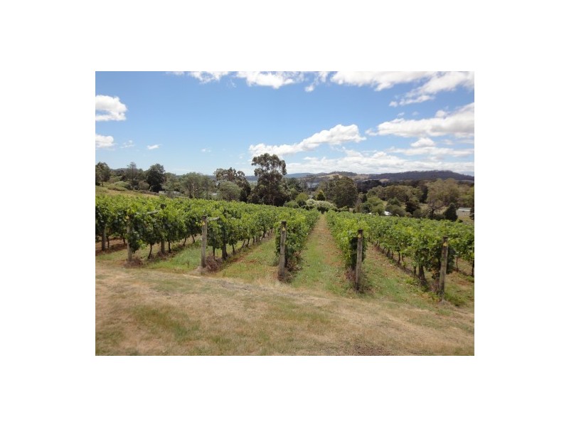 33 Deviot Road, Robigana TAS 7275