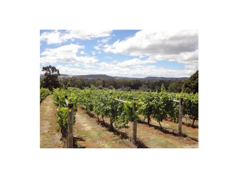 33 Deviot Road, Robigana TAS 7275