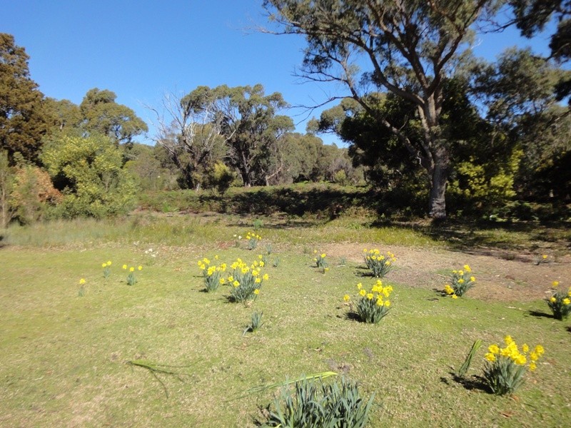 99 Gardners Road, Greens Beach TAS 7270