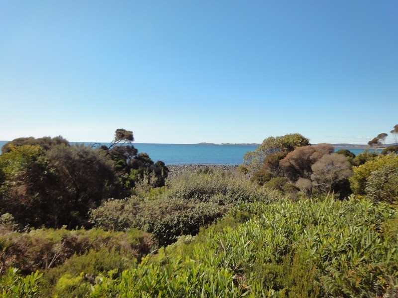 99 Gardners Road, Greens Beach TAS 7270