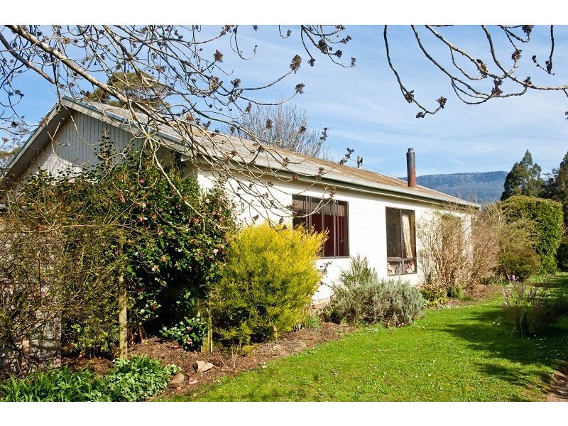 569 Western Creek Road, Western Creek TAS 7304