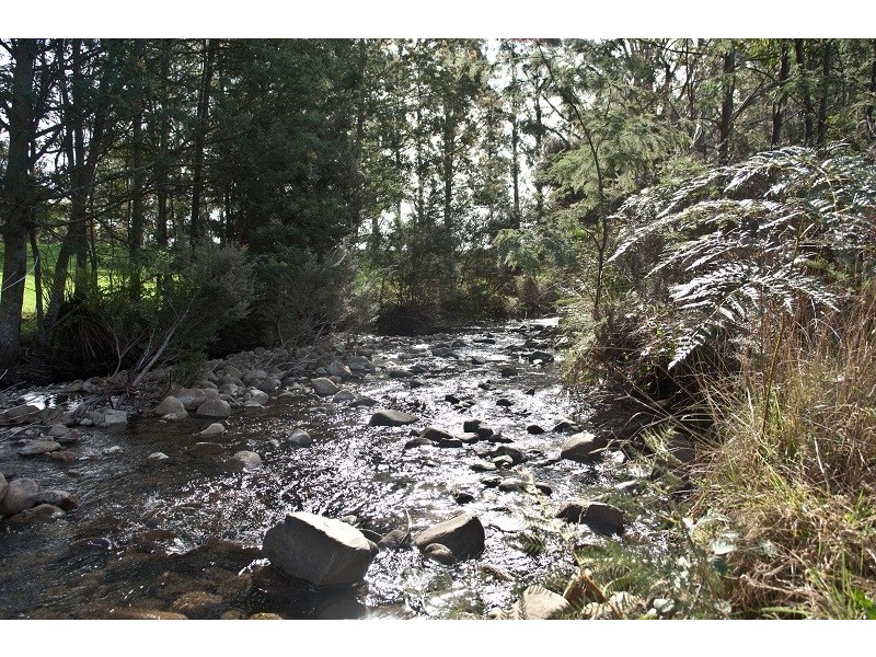 569 Western Creek Road, Western Creek TAS 7304