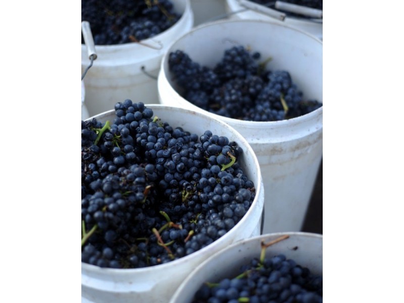 Velo Wines 755 West Tamar Highway, Legana TAS 7277