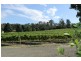 Velo Wines 755 West Tamar Highway, Legana TAS 7277