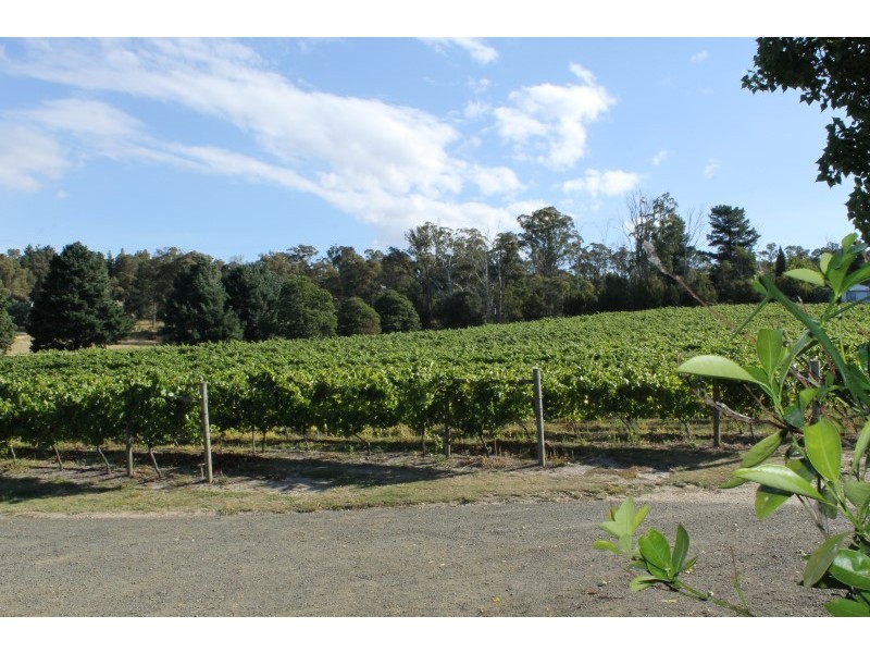 Velo Wines 755 West Tamar Highway, Legana TAS 7277