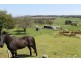 348 Bacala Road, Tunnel TAS 7254