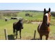 348 Bacala Road, Tunnel TAS 7254