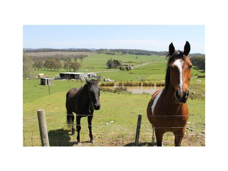 348 Bacala Road, Tunnel TAS 7254
