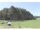 348 Bacala Road, Tunnel TAS 7254