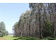 348 Bacala Road, Tunnel TAS 7254