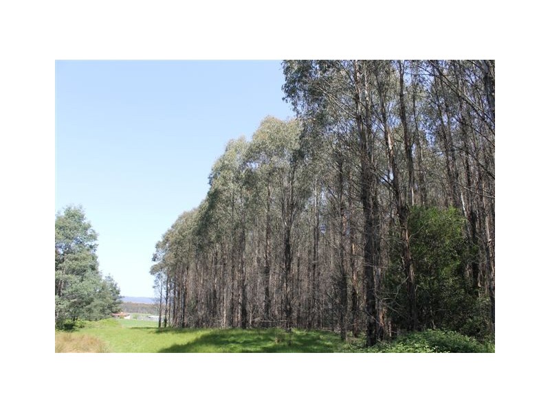 348 Bacala Road, Tunnel TAS 7254