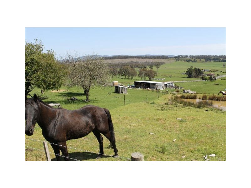 348 Bacala Road, Tunnel TAS 7254