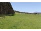348 Bacala Road, Tunnel TAS 7254