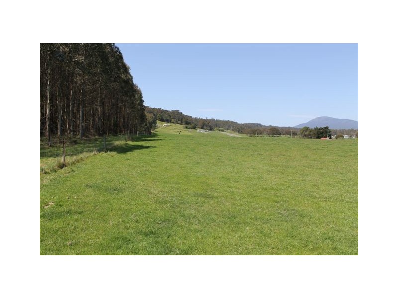 348 Bacala Road, Tunnel TAS 7254